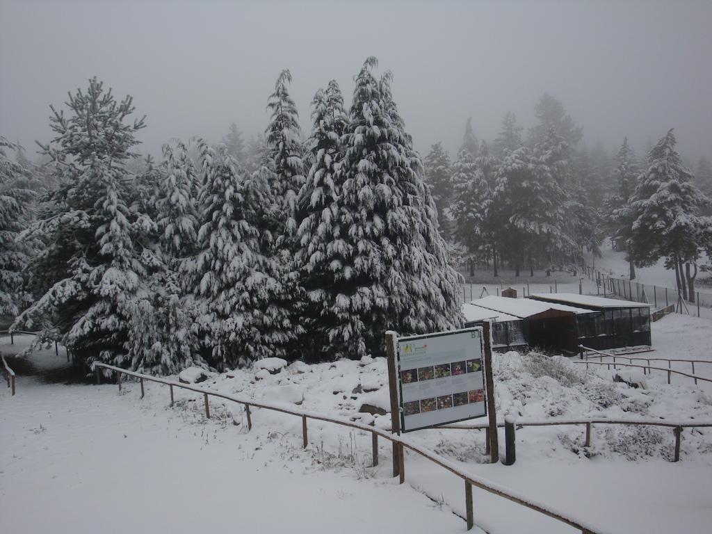 Parque Biologico De