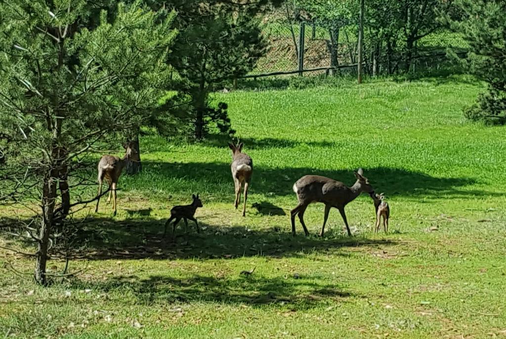Parque Biologico De