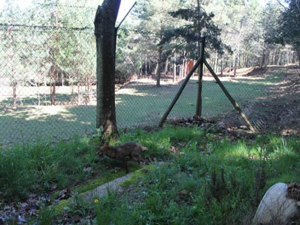 Parque Biologico De Parque de Campismo 3*